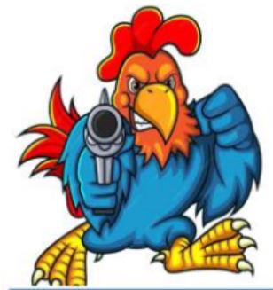 Open do Galo de Barcelos 2025